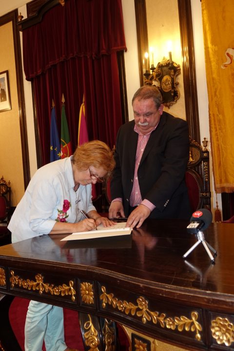 Protocolos 146 Large